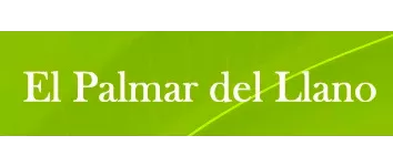 Cliente 4